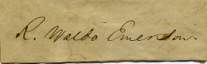 Longer description and image